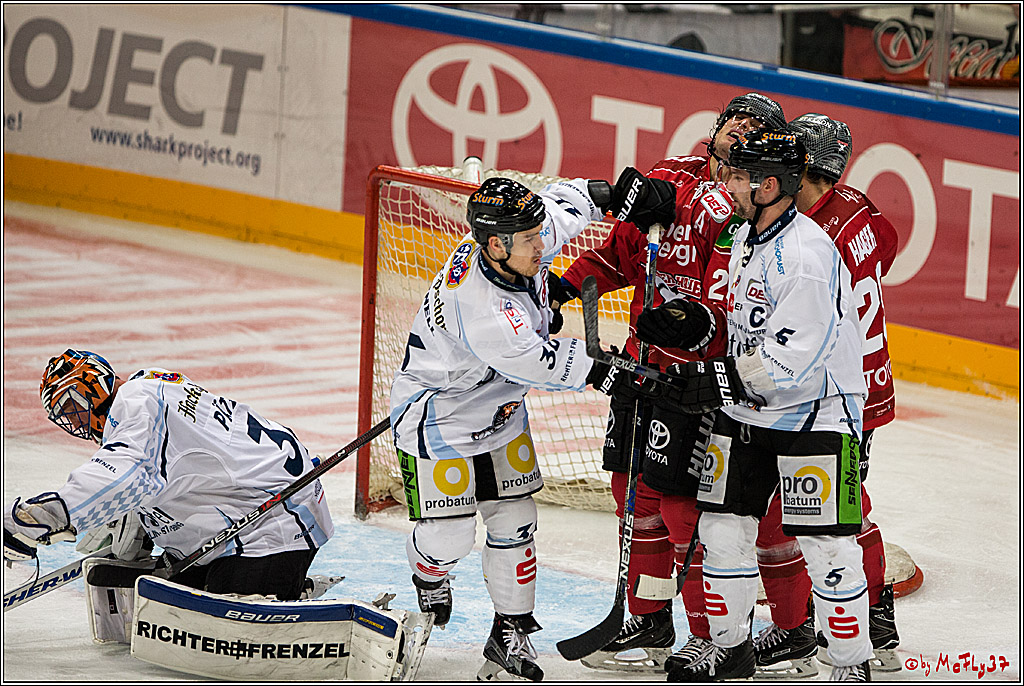 Koelner Haie - Straubing Tigers, 03.10.2016